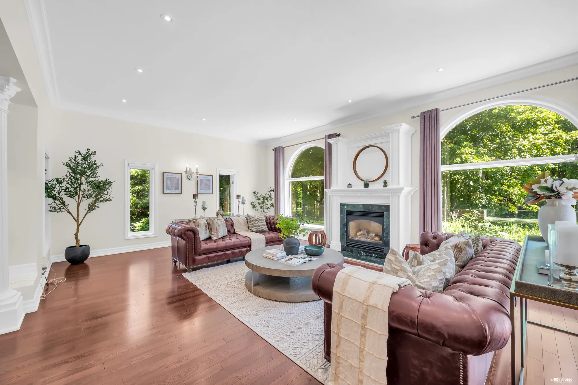 The family room from the side: the leather sofas, the fireplace, an olive tree, a tall arched window onto the trees