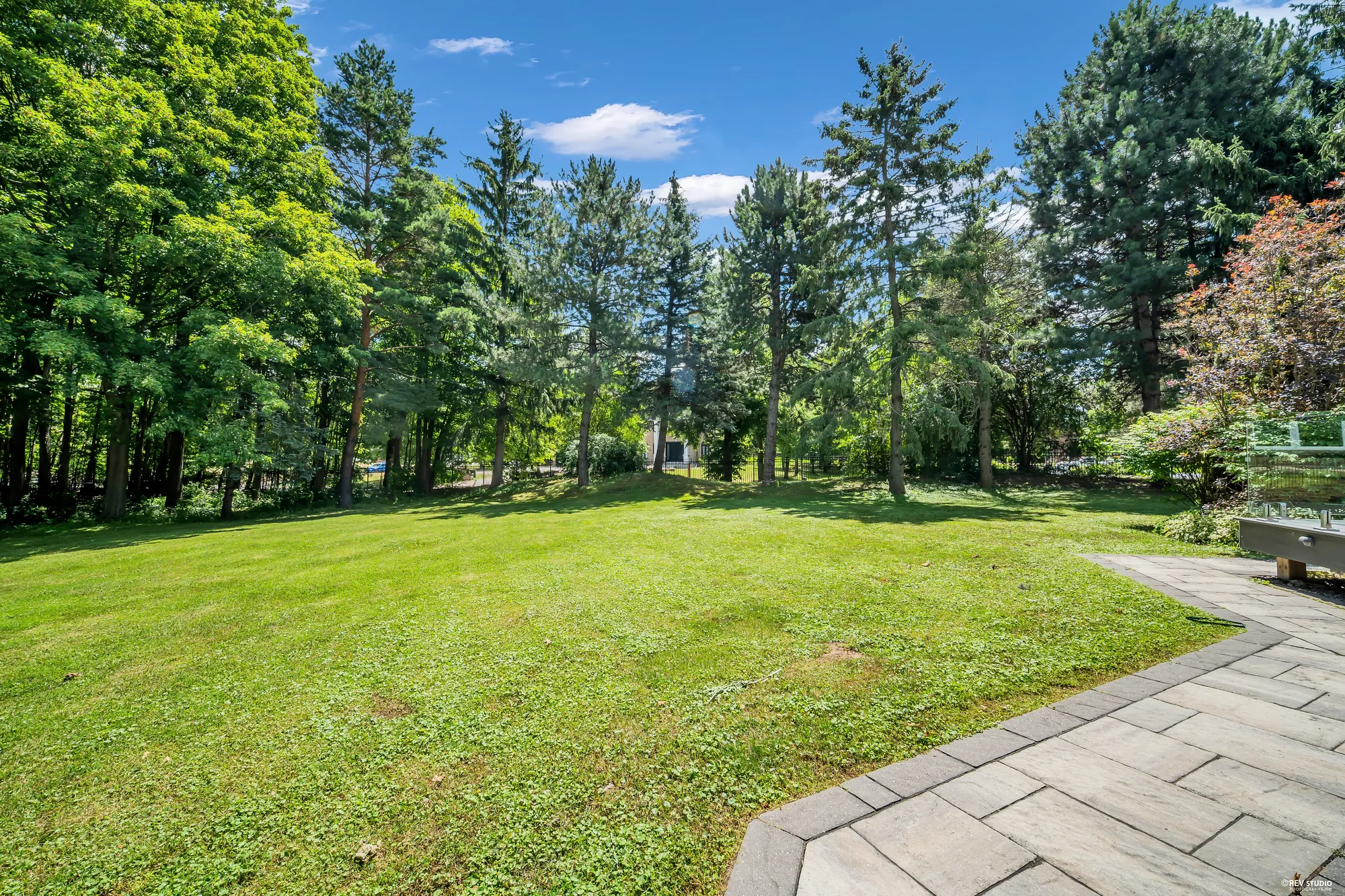 The back lawn: a paved path curving across the grass, tall pines and maples at the edge of the lot